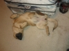 A realy cute shot